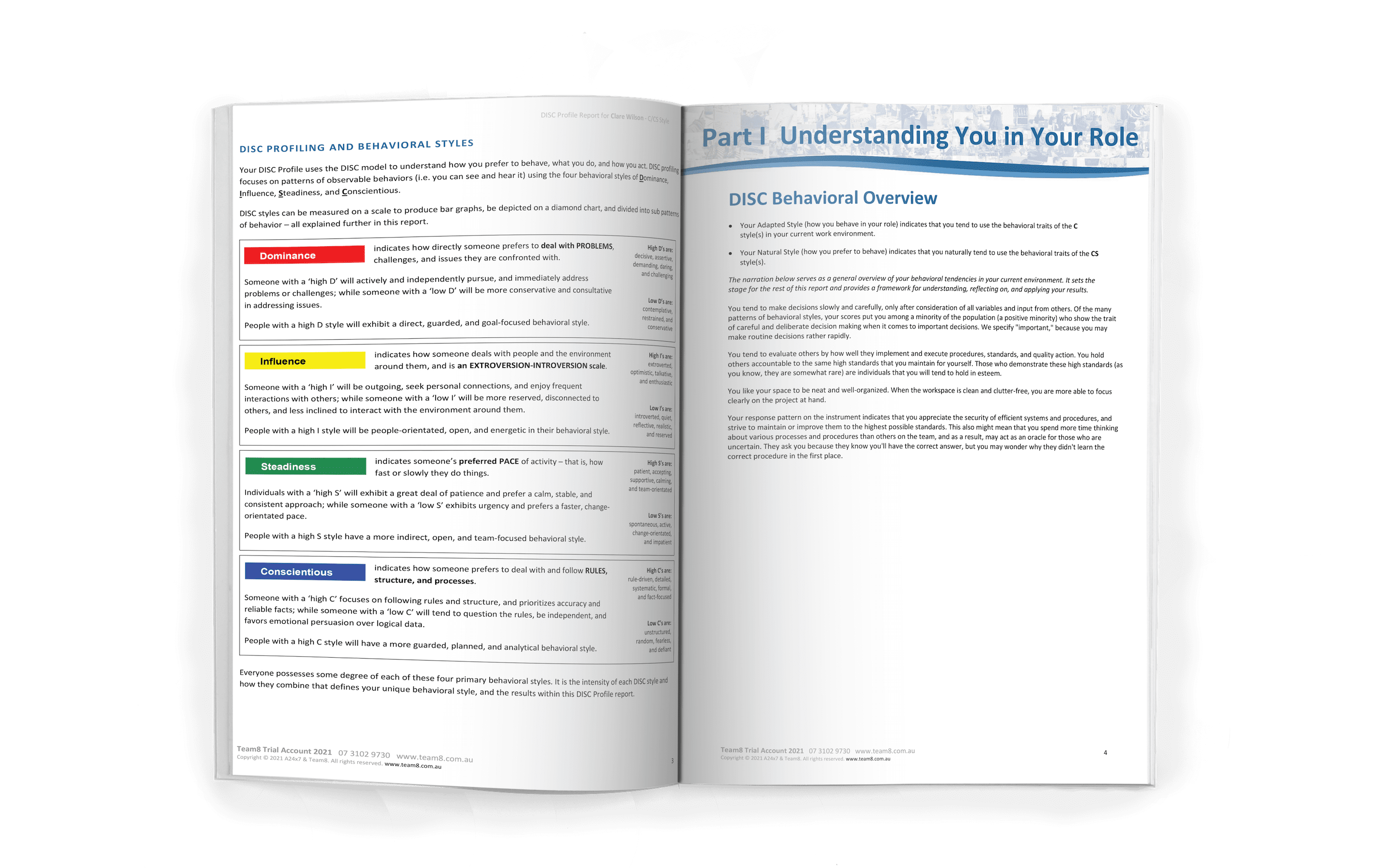 Team8 DISC Profile Report